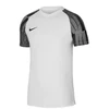 Nike Dri-Fit Academy SS M DH8031-104 marškinėliai