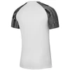 Nike Dri-Fit Academy SS M DH8031-104 marškinėliai