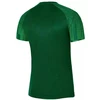 Nike Dri-Fit Academy SS M DH8031 302 marškinėliai