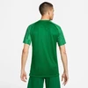 Nike Dri-Fit Academy SS M DH8031 302 marškinėliai