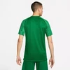 Nike Dri-Fit Academy SS M DH8031 302 marškinėliai