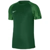 Nike Dri-Fit Academy SS M DH8031 302 marškinėliai