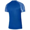 Nike Dri-Fit Academy SS M DH8031-463 marškinėliai