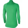 Nike Dri-Fit Academy W CV2653-362 džemperis