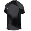 Nike Dri-FIT ADV Gardien 4 M Futbolo apranga vartininkui DH7760-060