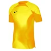 Nike Dri-FIT ADV Gardien 4 M Vartininko Marškinėliai DH7760-719