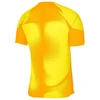 Nike Dri-FIT ADV Gardien 4 M Vartininko Marškinėliai DH7760-719