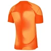 Nike Dri-FIT ADV Gardien 4 M Vartininko Džersis DH7760-819