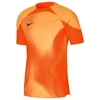 Nike Dri-FIT ADV Gardien 4 M Vartininko Džersis DH7760-819
