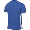 Nike Dri-Fit Challenge marškinėliai jaunimui FD7426 463