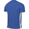 Nike Dri-Fit Challenge marškinėliai jaunimui FD7426 463