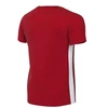 Nike Dri-FIT Challenge VM FD7426-657 marškinėliai