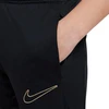Nike Dri-Fit Enfant Jr DX5490 017 kelnės vaikams