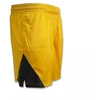 Nike Dri-FIT Fly Short Isofly Moteriški krepšinio šortai Geltona ochra/Juoda - DH7363-752