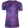 Nike Dri-Fit Gardien VI Vartininko Vyriški Marškinėliai Violetiniai HV8301 507