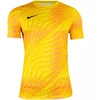 Nike Dri-Fit Gardien VI Vyriški Vartininko Marškinėliai Geltoni HV8301 718