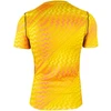 Nike Dri-Fit Gardien VI Vyriški Vartininko Marškinėliai Geltoni HV8301 718