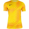 Nike Dri-Fit Gardien VI Vyriški Vartininko Marškinėliai Geltoni HV8301 718