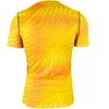 Nike Dri-Fit Gardien VI Vyriški Vartininko Marškinėliai Geltoni HV8301 718