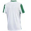 Nike Dri-FIT Juostuotos Diviziono V Jaunimo Marškinėliai FZ9341-103