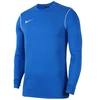 Nike Dri-Fit Park 20 Crew M FJ3004-463 džemperis