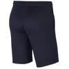Nike Dri-FIT Park 20 M CW6152-451 Šortai