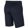 Nike Dri-FIT Park 20 M CW6152-451 Šortai