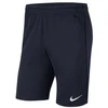 Nike Dri-FIT Park 20 M CW6152-451 Šortai