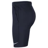 Nike Dri-FIT Park 20 M CW6152-451 Šortai