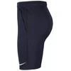 Nike Dri-FIT Park 20 M CW6152-451 Šortai