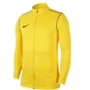 Nike Dri-Fit Park 20 Track Jr FJ3026-719 džemperis
