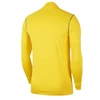 Nike Dri-Fit Park 20 Track Jr FJ3026-719 džemperis