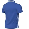 Nike Dri-Fit Park 26 Polo marškinėliai vaikams, mėlyni, HM7145 463