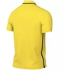 Nike Dri-Fit Park 26 Polo vyriški marškiniai Geltoni HM7136 719