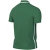 Nike Dri-Fit Park 26 Polo Vyriški Marškiniai Žali HM7136 302
