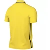 Nike Dri-Fit Park 26 Polo vyriški marškiniai Geltoni HM7136 719