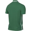 Nike Dri-Fit Park 26 Polo Vyriški Marškiniai Žali HM7136 302