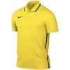 Nike Dri-Fit Park 26 Polo vyriški marškiniai Geltoni HM7136 719