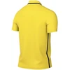 Nike Dri-Fit Park 26 Polo vyriški marškiniai Geltoni HM7136 719
