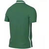 Nike Dri-Fit Park 26 Polo Vyriški Marškiniai Žali HM7136 302