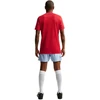 Nike Dri-Fit Park 26 SS vyriški marškinėliai Raudoni HM7127 657