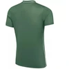 Nike Dri-Fit Park 26 SS Vyriški marškinėliai žali HM7127 302