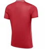 Nike Dri-Fit Park 26 SS vyriški marškinėliai Raudoni HM7127 657