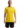 Nike Dri-Fit Park 26 trumpomis rankovėmis viršutinė dalis vyriški marškinėliai geltoni HM7127 719