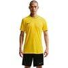Nike Dri-Fit Park 26 trumpomis rankovėmis viršutinė dalis vyriški marškinėliai geltoni HM7127 719