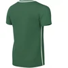 Nike Dri-Fit Park 26 vaikiški marškinėliai žali HM7134 302