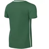 Nike Dri-Fit Park 26 vaikiški marškinėliai žali HM7134 302