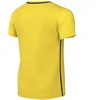 Nike Dri-Fit Park 26 Vaikų Marškinėliai Geltoni HM7134 719