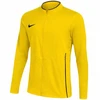 Nike Dri-FIT Park 26 Vyriškas džemperis Geltonas HM7249 719