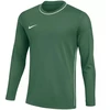 Nike Dri-Fit Park 26 Vyriški marškinėliai Crew Top Žali HM7165 302